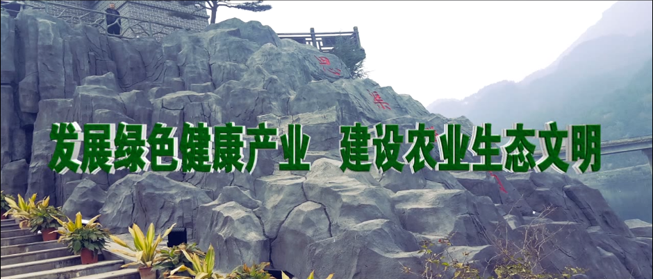 &#23436;&#32654;&#32593;&#39029;&#29256;&#30331;&#24405;&#20837;&#21475;&#45;&#23436;&#32654;&#65288;&#20013;&#22269;&#65289;&#45;&#23436;&#32654;&#65288;&#20013;&#22269;&#65289;